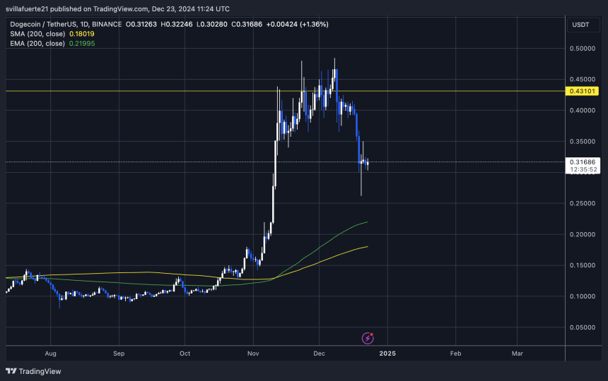 DOGE testing crucial demand at $ 0.31 