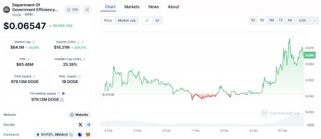 Department Of Government Efficiency ($ DOGE)